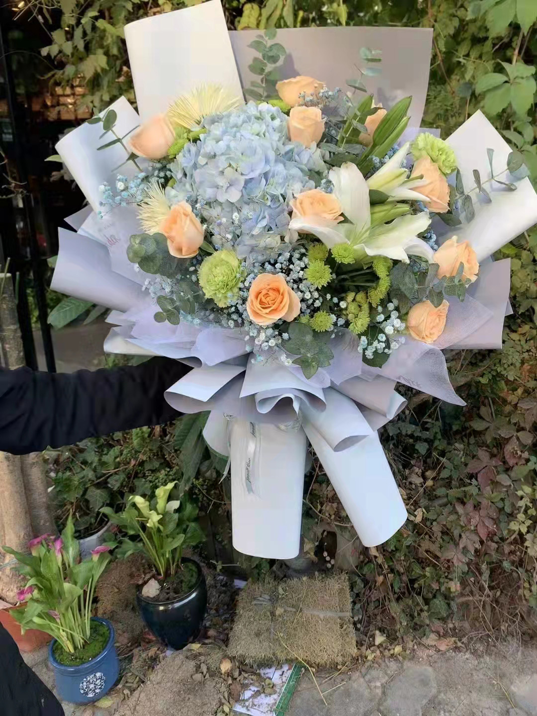 杭州鲜花