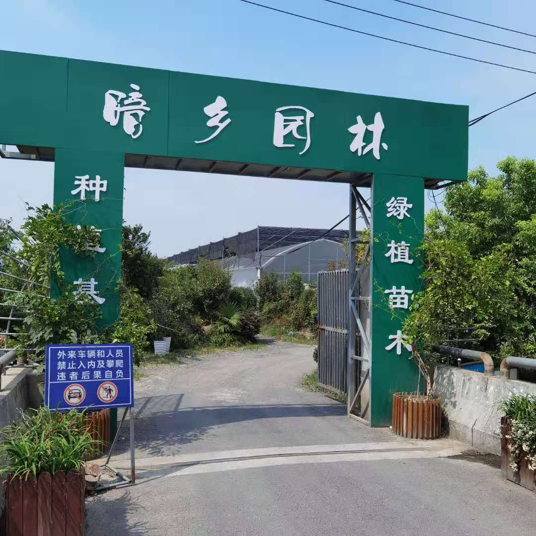 广安暗乡园林怎么样-绿植租赁